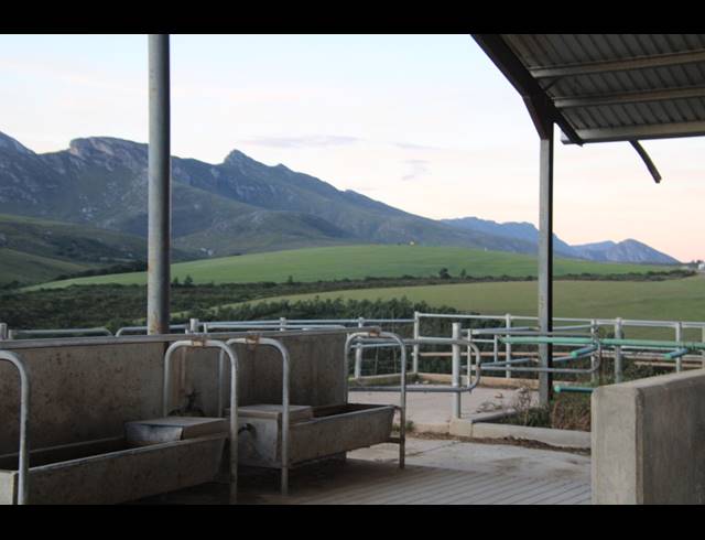 814HA FARM FOR SALE IN RIVERSDALE RURAL